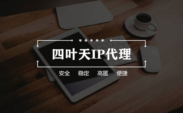 【山东代理IP】如何快速搭建代理IP？怎么检查代理的效果？